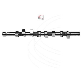 CAMPRO CP11424 Nockenwelle RENAULT MEGANE 3 Grandtour (KZ0/1) 1.9 131 PS Diesel