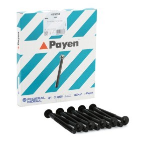 Zylinderkopfschraubensatz von PAYEN HBS359