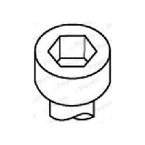 PAYEN HBS420 Sylindertoppskrue MAZDA 323 F 6 (BJ) 1.6 95 hk Bensinmotor