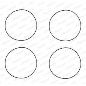 CITROËN Kurbelgehäusedichtung PAYEN HR564