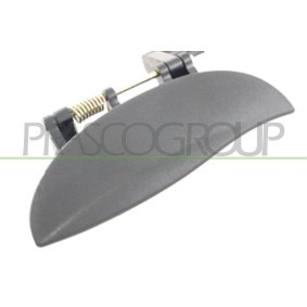 PRASCO RG4321247 Tapa de gancho remolque ROVER