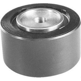 MAGNETI MARELLI 331316170140 Umlenk- / Führungsrolle, Keilriemen FIAT DUCATO Kasten (230L)