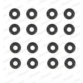 Kjøp Pakningssett, ventilstamme av PAYEN HR5088 til den lave prisen 140,50&nbsp;kr