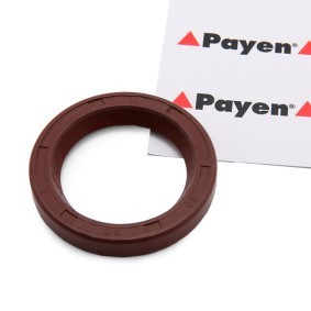 HYUNDAI Nockenwellendichtung PAYEN NF841