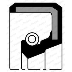 PAYEN NA5136 Nockenwelle VOLVO S80 I (184) 2.4 140 PS Otto