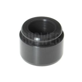 Comprar Émbolo, pinza del freno de BUDWEG CALIPER 234043 a bajo precio de 23,41&nbsp;&euro;