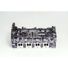 AMC 908525K Zylinderkopf RENAULT KOLEOS (HY_)