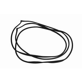 MERCEDES-BENZ Ikkunatiiviste VAICO V30-1979