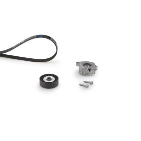 Compre Jogo de correias trapezoidais estriadas da GATES K126PK1148 a um preço baixo por 64,07&nbsp;&euro;