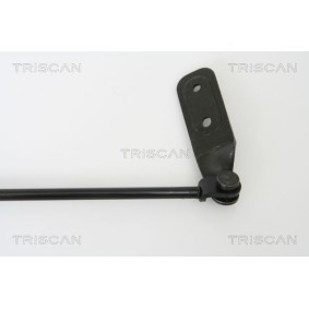 Achetez des Disque de frein TRISCAN 8120 24171 à prix pour 70,66&nbsp;&euro;