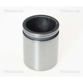 Comprar Émbolo, pinza del freno de TRISCAN 8170 234424 a bajo precio de 28,97&nbsp;&euro;