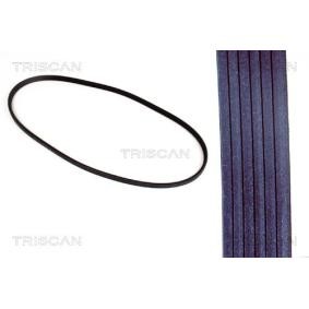 TRISCAN 8640 601750 Courroie d'alternateur RENAULT MEGANE 1 Classic (LA0/1) 1.6 75 CV Essence