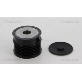 TRISCAN 8641 244013 Poulie d'alternateur SAAB 9-3 Break (YS3F) 2.8 230 CV Essence