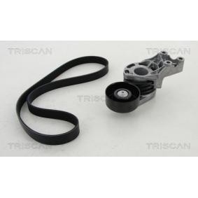 TRISCAN 8642 29018 Kit cinghia servizi SKODA Fabia 2 (545) 1.4 70 CV Diesel