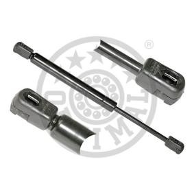 Heckklappendämpfer AG-17333 für PEUGEOT