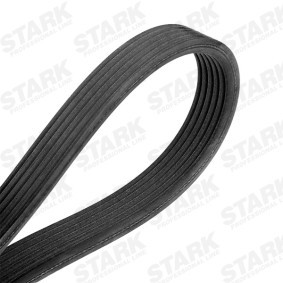 STARK SK-6PK1838 Keilrippenriemen VOLVO XC90 I (275) 2.5 208 PS Otto