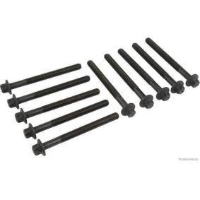 Achetez des Jeu de vis de culasse HERTH+BUSS JAKOPARTS J1281037 à prix pour 58,42&nbsp;&euro;