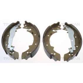 Kjøp Bremsetrommel av TRISCAN 8120 25218 til den lave prisen 1522,48&nbsp;kr