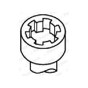 PAYEN HBS537 Vis de culasse MITSUBISHI COLT 6 (Z3A, Z2A) 1.3 91 CV Essence