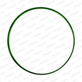 PAYEN JD6034 Junta de colector de admisión MINI Paceman (R61) 1.6 116 cv Motor otto