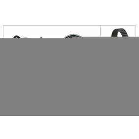 Zubehörsatz, Kipphebel 423 0031 10