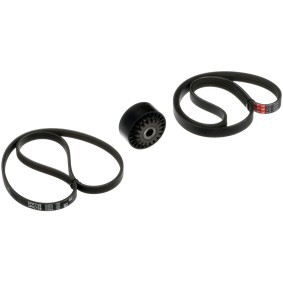 GATES T43042 Spannrolle, Zahnriemen ALFA ROMEO 156 Sportwagon (932) 2.4 136 PS Diesel