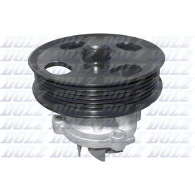 Compre Bomba de água da DOLZ N208 a um preço baixo por 54,03&nbsp;&euro;
