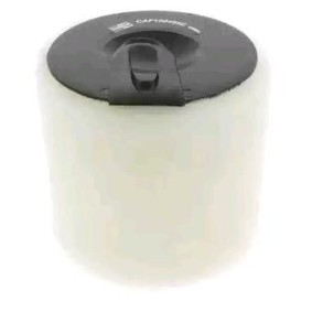Osta Ilmansuodatin CHAMPION:llä CAF100458C edullisesti hintaan 14,70&nbsp;&euro;