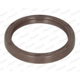 PAYEN NA5310 Nockenwellendichtung FORD ECOSPORT