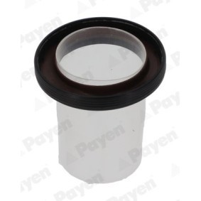 Nockenwellendichtung NA5328 NISSAN NV250 von PAYEN