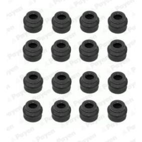 PAYEN HR5060 Retentor de válvula FIAT TORO