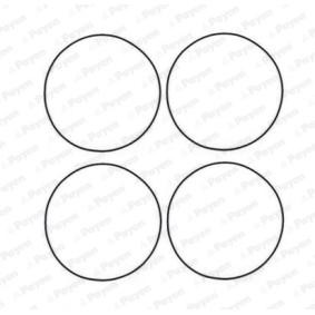 PAYEN HR566 Kurbelgehäusedichtung FIAT