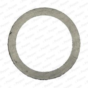 PAYEN JD5909 Avgasrörspackning BMW 5 Sedan (E60) 2.5 177 hk Bensinmotor