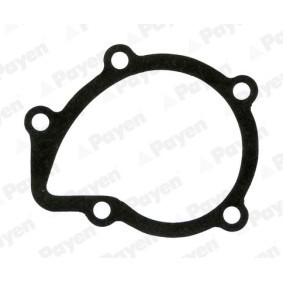 PAYEN KA611 Dichtung Wasserpumpe CITROËN XSARA Break (N2)