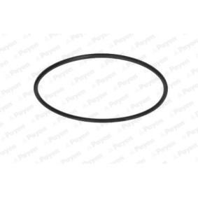 PAYEN KH007 Retén de la bomba de aceite FIAT