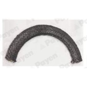 Comprar Anillo retén, cigüeñal de PAYEN LB955 a bajo precio de 16,62&nbsp;&euro;