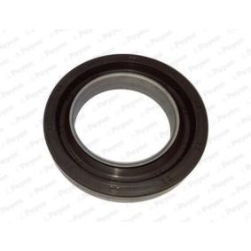 PAYEN NA5202 Kampiakselin tiiviste FIAT DUCATO Bussi (244, Z_) 2.3 110 hv Diesel