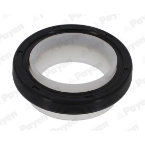 PAYEN NA5255 Kurbelwellensimmering RENAULT Megane 3 Schrägheck (BZ0/1_) 1.5 86 PS Diesel