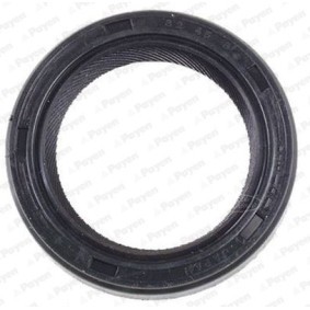 PAYEN NK117 Kamaxeltätning SAAB