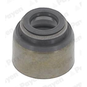 PAYEN PA079 Ventiltetning MAZDA BT-50 (CD, UN)