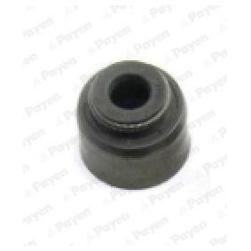 PAYEN PA971 Retenes de válvulas SUZUKI Grand Vitara 2 SUV (JT, TE, TD) 2.0 129 cv Motor otto