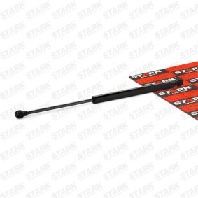 Heckklappendämpfer SKGS-0220426 für SMART