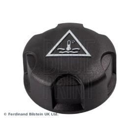 BLUE PRINT ADT39906 Ausgleichsbehälter CITROËN C3 Picasso 1.6 110 PS Otto