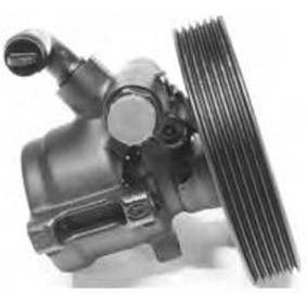 GENERAL RICAMBI PI1189 SUZUKI BALENO Viistoperä (EG) Ohjaustehostimen pumppu