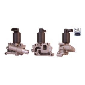 Compre Válvula EGR da ELSTOCK 72-0009 a um preço baixo por 106,51&nbsp;&euro;