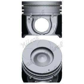 NÜRAL 87-431707-00 Pistão KIA