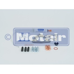 Turboladerdichtung des Herstellers MOTAIR - Originalware Artikelnummer: 443049