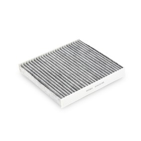 RIDEX 424I0195 Filtro abitacolo ALFA ROMEO SPIDER