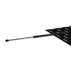 RIDEX 219G0035 Mala MERCEDES-BENZ