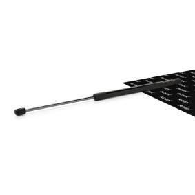 RIDEX 219G0049 Vérin de coffre PEUGEOT 206+ 3/5 portes (2L, 2M)